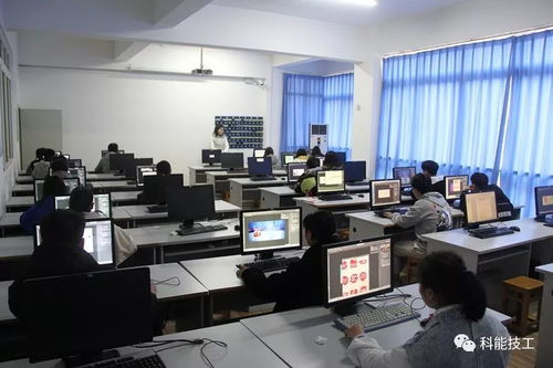 技能點(diǎn)亮未來(lái)，服務(wù)鑄就夢(mèng)想——現(xiàn)代服務(wù)系技能競(jìng)賽月活動(dòng)圓滿落幕